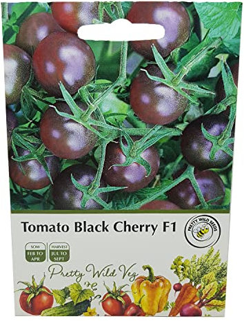 Tomato Black Cherry Seeds in Pictorial Packet from a UK Seller Heavy cropping with a Very Rich Flavour