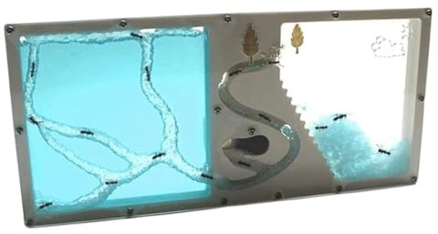 AZHKJKZH Formica Nido Castello di Formiche Osservazione del Nido A Casa Regali per Fattoria per Bambini Kit Apprendimento per L'habitat della Casette per Formiche