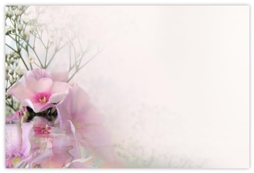 celloexpress Blank (Phlox Reflection) Flower Message Cards - 60mm x 90mm - Blank Florist Card Gift Notes (Pack of 20)