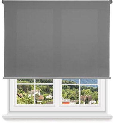 HOME MERCURY - Estor Enrollable translúcido Liso (100x180 cm, Gris)