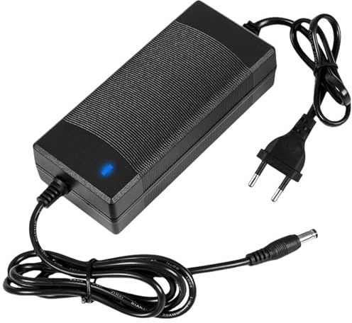 Adattatore di alimentazione 24 V, 10 A, 240 W, convertitore di tensione 100 – 240 V AC a DC 24 Volt con presa di uscita DC da 5,5 mm x 2,5/2,1 mm per strisce LED, telecamere di sorveglianza