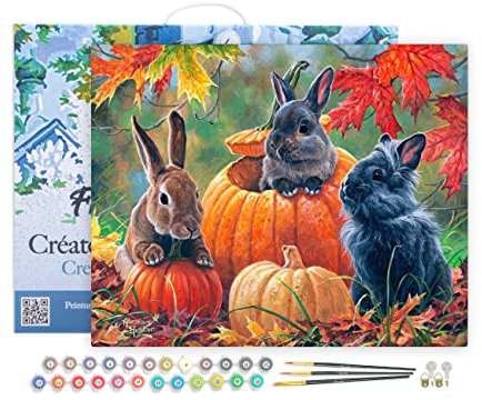 Figured'Art Peinture par Numéro Adulte avec Cadre Trio de lapins - Activité Manuelle Kit de Loisir Créatif DIY Numéro d'Art Complet - 40x50cm toile tendue sur châssis