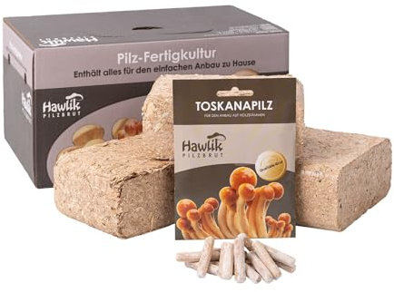 Hawlik Pilzbrut – Nameko Pilze Züchten Set – Kinderleicht Toskanapilze im eigenen Garten züchten und frische Pilze ernten – Ideales Pilzzuchtset für den Garten