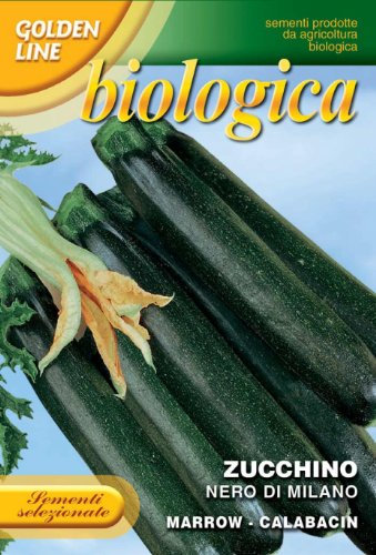 Franchi Seeds of Italy Organic Range Courgette Nero Milano Seeds