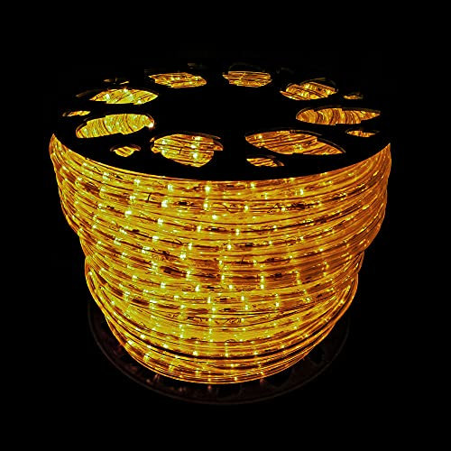 Royal LED tubo luminoso a LED 50mt 220v decorazione per esterni luci natalizie colorate (Bianco Caldo)