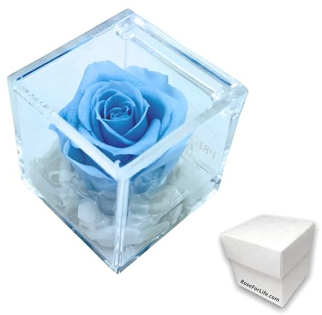 PREMIUM ROSE - Cubo Rosa Stabilizzata 6 cm con Marmo di Carrara - Rosa Eterna Stabilizzata Made in Italy - Idea per Battesimi e Doni Simbolici - Azzurro A 1064