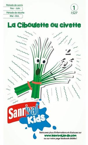 Graines Ciboulettes pour Enfants