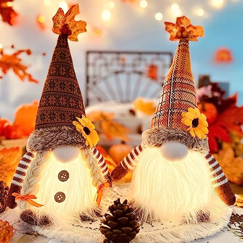 ACAREY Herbstdeko Wichtel mit Licht 2 Stück Herbst Dekoration Wichtel Groß 35cm Plüsch Wichtel Figuren Halloween Deko mit LED Weihnachten Deko Figure Herbsternte Beleuchtete Wichtel