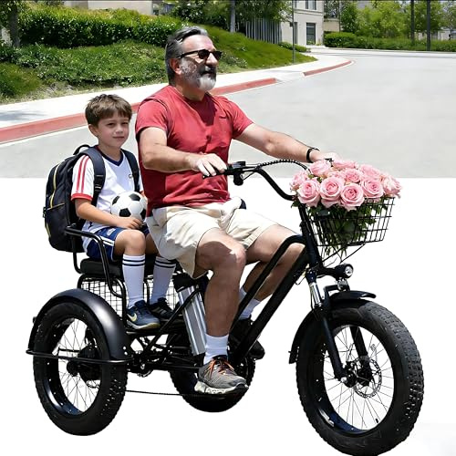 Dfdieratve Triciclo Eléctrico para Carga Pesada (200kg) - Batería 48V 12Ah Removible, 20 Ruedas, Autonomía 30km, para Uso Profesional y Personal