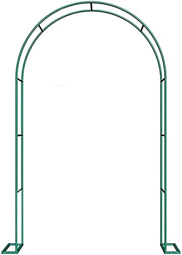 Tonnelle de jardin en métal avec arche de roses pour décoration de cérémonie de mariage Montage facile et cadre noir