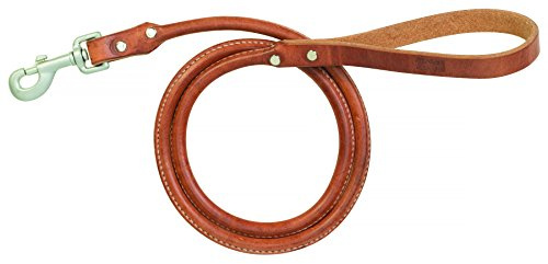 Terrain D.O.G. Harness Leather Rolled Dog Leash, 3/4 x 4'