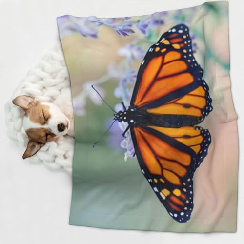 ocpcrn Monarch Butterfly House Dog Blankets for Small Dogs, Puppy Blanket Cute Pet Blanket for Dog, Puppy, Cat, Kitten Large