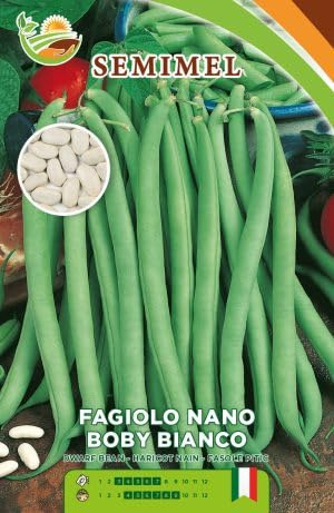 Fagiolo Bobi Nano - Semi di Fagiolo Mangiatutto Precoce, Alta Resistenza, 500g 1 confezione