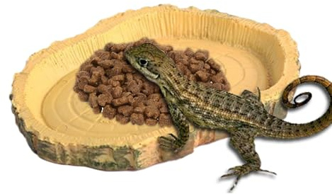 Gecko Elireding Ledge - Tortugas Power Dish | Platt skal- och reptil matskål | Roliga djurtillbehör, husvattenskål, akvarium, P
