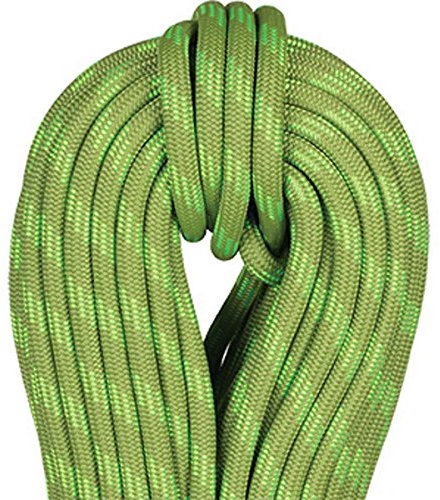Beal Wall Cruiser Unicore 9.6 Mm 40 M Grün - Leistungsstarkes Kletterseil, 40 m, Größe 40 m - Farbe Green