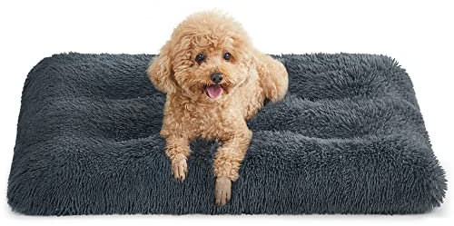 Feandrea Hundebett, Hundekissen, Flauschige Hundematte, Langer Plüsch, 80 x 50 cm, weiche Polsterung, maschinenwaschbar, multifunktional, dunkelgrau PGW201G02