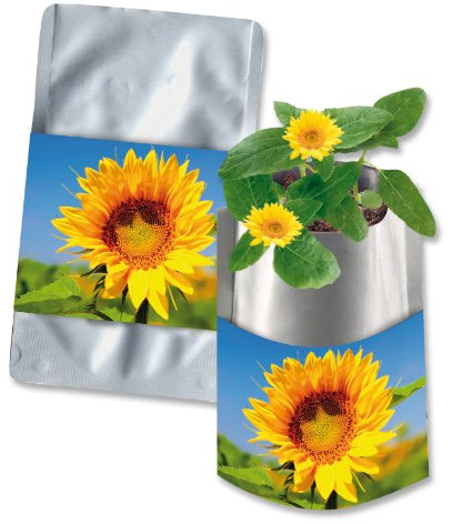 10er Set Plant Bag Zwergsonnenblume