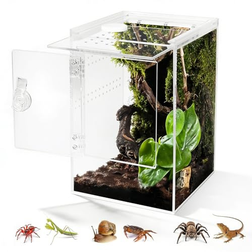 Biigdan Ouverture Frontale Terrarium,360° Rectangle Vivarium 20 x 20 x 30 cm avec Ventilation Croisée,Etanche Terrarium Acrylique pour Reptiles, Araignée, Escargots, Mante Religieuse, Lézard, Rainette