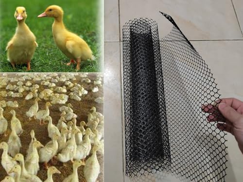 Plasttråd nät staket rulle svart, fjäderfä djur barriärnät för kyckling kaniner ekorrar och katter hundar, inomhus utomhus balkong säkerhetsnät för husdjur/barn