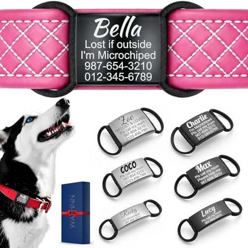 Medaglietta Cane Personalizzata - Targhetta Personalizzata Cani con Incisione Silenziose, Medaglietta Cane Elastiche per Cani e Gatti, Diversi Collari per Animali di Taglia Grande, Media e Piccola