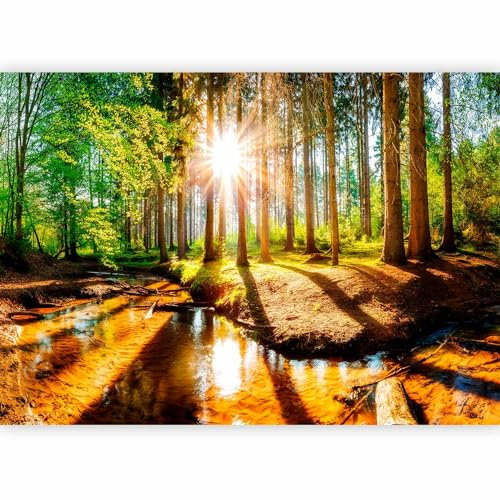 murando Photo Wallpaper Forest 450x315 cm Non-Woven Premium Art Print | Fleece Wall Mural Decoration Poster Picture Design Modern Landscape Sun Green Nature Water