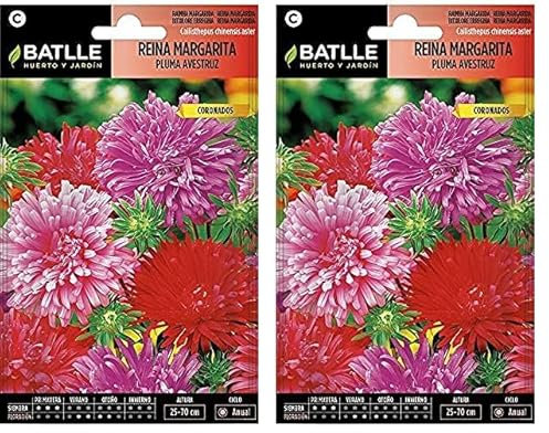 Semi di Fiori - Regina Margherita Piuma di Struzzo - Batlle (Confezione da 2)
