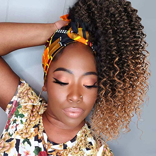 ColorfulPanda 16Zoll/41cm Afro Dutt Kinky Curly Pferdeschwanz haarteil Clip In Haar extensions mit Kordelzug Haarverlängerunge extension kurz Perücke Natürliches Lockige Ponytail für zopf(Ombre braun)
