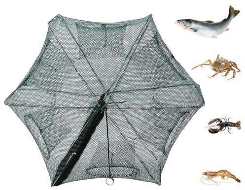 Hominas Fischernetz Automatische 6 Löcher Nylon Faltbare Köder Fischreuse zum Fangen Kleiner Köderfische Aale Krabbenhummer Elritzen Garnelen