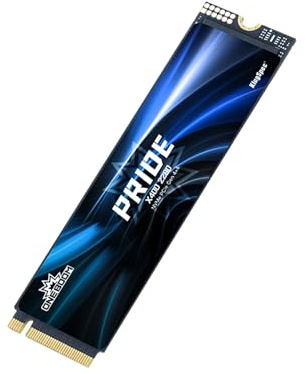 KingSpec ONEBOOM X400 SSD Interne 512Go M.2 NVMe 2280 PCIe Gen4 - Mémoire 3D TLC NAND pour Gaming, Vitesse de Lecture jusqu'à 7400 Mo/s - Compatible PS5/PC/Ordinateur Portable