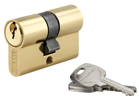 Cylindre de Serrure Double Entrée, 25x25 mm, Anti Arrachement, Sécurité Renforcée, 3 Clés Incluses, Finition Laiton, Haute Qualité, Installation Facile, Matériau Durable, THIRARD