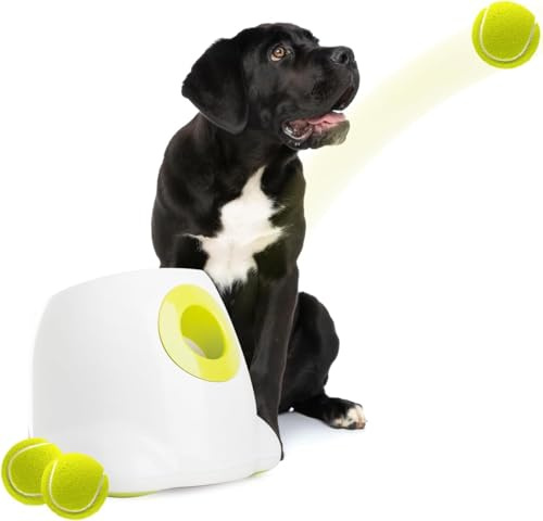 ALL FOR PAWS Grande Lanzador Automático de Pelotas para Perros, Juguete Interactivo de Buscar y Traer para Perros Medianos a Grandes, Máquina Lanzadora de Pelotas, 3PCS Pelotas de 2.5 Incluidas