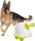 ALL FOR PAWS Automatischer Ballwerfer, mit 3pcs Tennisbälle (2.5'') Hunde Ball Interaktive Ballwurfmaschine 6 2.5 Tennisbällen Inklusive