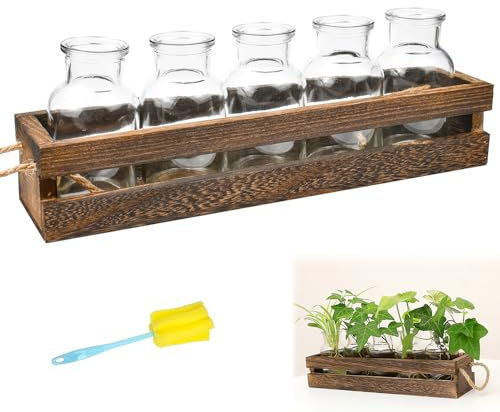 CAREDGO Hydroponische Glasvase, Hydroponik Blumenvasen Glasvase mit Holzhalterung Glasseam Pflanzen mit Holzständer 32cm *8cm *6cm und 5 Kleine Glasvase Vintage Plante Propagation Station für Pflanzen