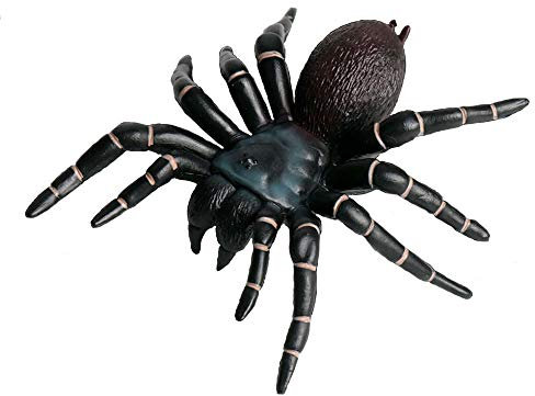 JOKFEICE Realistische Tier Figuren Spinne Figuren Große Insekten Spielzeug, Wissenschaft Projekt, Kuchen Topper, frühen Pädagogisches Spielzeug Geburtstag Weihnachten Geschenk für Kleinkinder(Schwarz)