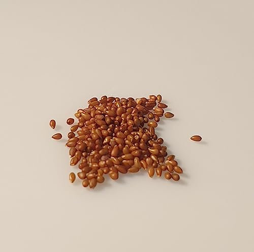 150 graines de Fleurs à semer - Le Grenier d'Abondance - VIOLETTE - Viola Cornuta