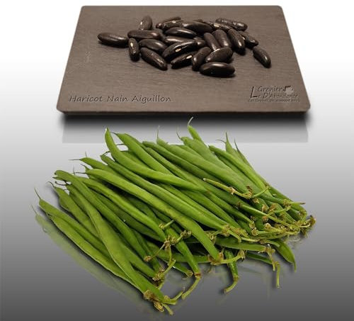 75 grammes de graines à semer - Le Grenier d'Abondance - HARICOT Nain Aiguillon - Phaseolus vulgaris