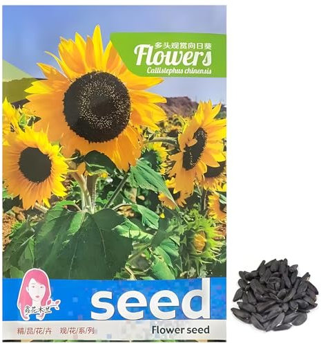 80 Dekorative mehrköpfige Sonnenblume Samen | Mehrere Blütenknospen auf einer | Sonnenblumensamen | Sonnenblumenkerne für den Ziergebrauch |Super Garten Geschenk