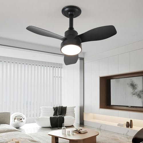 JDONG Ventilateur de plafond avec éclairage et télécommande 36W LED Silencieux Plafonnier noir Ventilateur Avec minuterie réglable Vitesse du vent réglable
