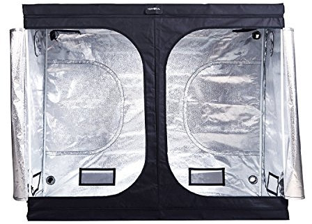 HORTOSOL Chambre de Culture intérieur Box 240x120x200 cm