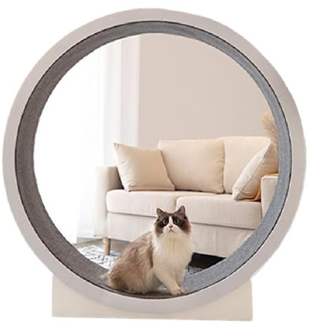 Cat Wheel Exerciser, 120 cm/47 Stor Cat Running Wheel för inomhuskatter, Cat Löpband löparhjul med matta