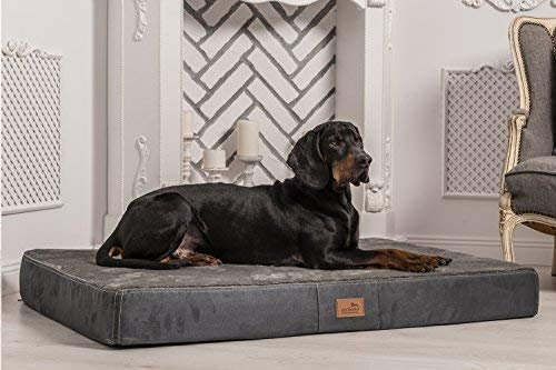 tierlando® Orthopädische Hundematratze Stuart Ortho Plus mit 13 cm Höhe, viskoelastischem Kern und weichem High-Tech-Veloursbezug für höchsten Liegekomfort, Größe: 80x60cm Farbe: 02 Graphit