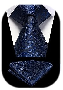 HISDERN Paisley Navy Blue Ties For Men Wedding Necktie & Pocket square set