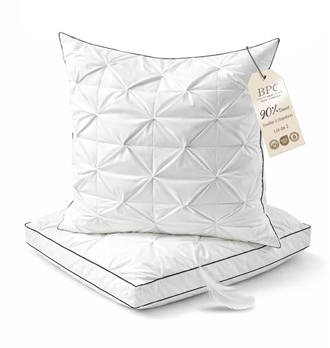 BPC Oreiller en Duvet 60x60 cm Lot de 2, Coussin 3 Chambres avec 90% Duvet extérieur et garnissage Contenant des Plumes, Moelleux et Soutien équilibré, Housse 100% Coton Bio, Lavable en Machine