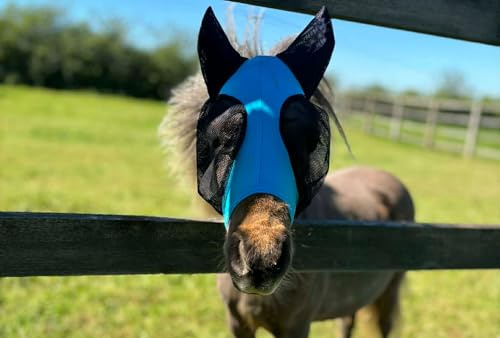 Ruggles Shetland - Máscara de mosca en miniatura con orejas, licra elástica, protección para los ojos de caballo y pony, tamaños estándar Shetland y X-Mini (aguamarina, XX-Mini)