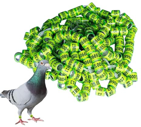 Fellflying Pigeon Bands Rings, 50 Pigeons Rings Pigeon Supplies Bands - Pigeon Supplies Bands Bird Foot Rings Pegeon Accessories for Racing Parrot Chicks Duck