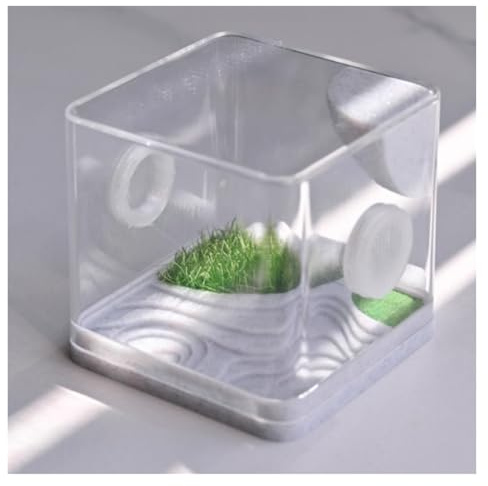 PXIWDAN Reptile Breeding Box Jumping Spider Enclosure Acrylic Reptile Terrarium Enclosure Faunarium(5.4x5.5cm)