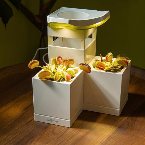 LeGrow Venus Indoor Fly Trap Planter, 50000lux with Timer, 7 Days Without Watering, Yellow
