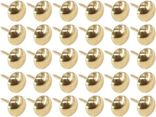 Mgoodoo 100 Stück Polsternägel Messing Vintage Möbel Nägel Antik Dekor Nägel Bronze Polsterung Nägel Ziernägel Thumb Tack Push Pins, Runder Großköpfiger Reißzwecke Reißnägel 11x17mm