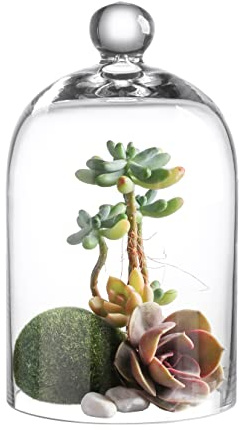 KMwares Clear Glass Display Dome Cloche Bell Jar Tabletop Decorative Case Covered Plants/Food (5.1x8.9)