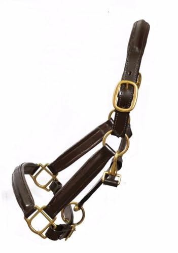 Aces Equine LEATHER HORSE ADJUSTABLE HEADCOLLAR HALTER FULLY RAISED AND PADDED BRASS FITTING (BROWN) (PONY)